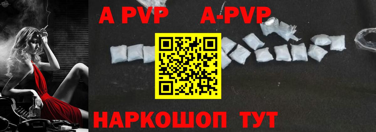 A PVP СК КРИС Гудермес